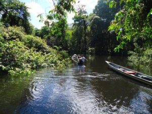Roeien in Cuyabeno Amazone Reservaat