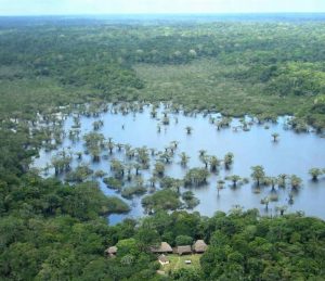 Cuyabeno Amazon Reserve Ecuador Tour