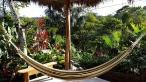 Hammock in the Amazon Ecuador