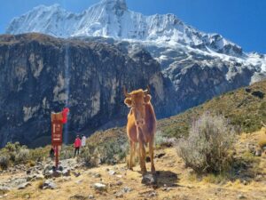 Laguna 69 Huaraz trekking Peru