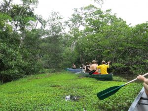 Roeien Magic River Amazone tours