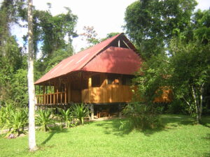 Pantiacolla Lodge Manu Amazone Peru