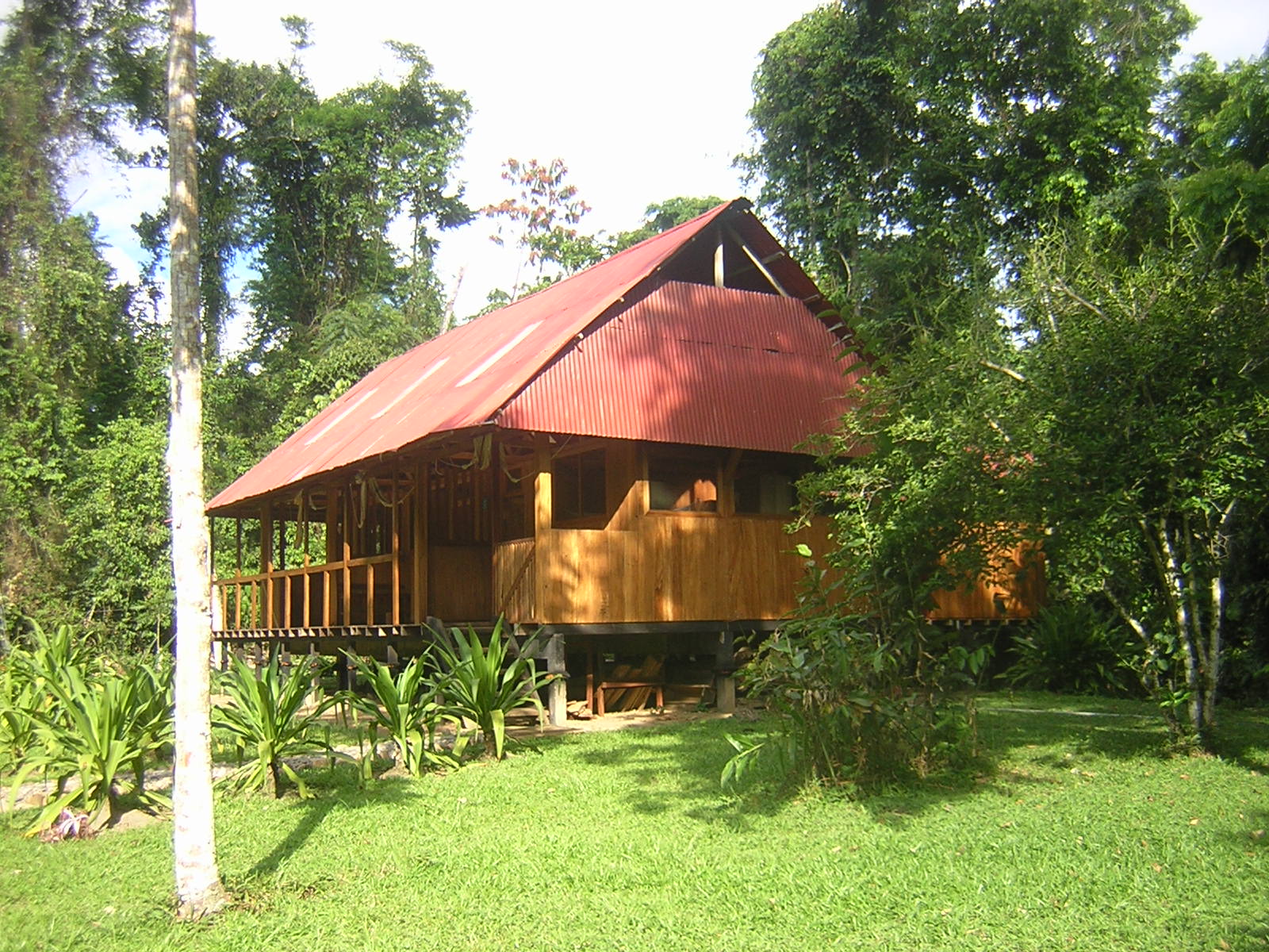 Pantacolla Amazon Lodge