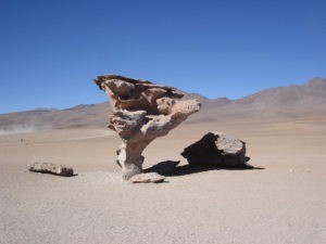 Arbol de pierda salar tour Bolivia