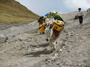 Carhuac pass Huayhuas Trek Huaraz Peru