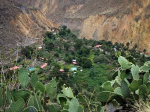 Oasis Cabanaconda trekking Peru