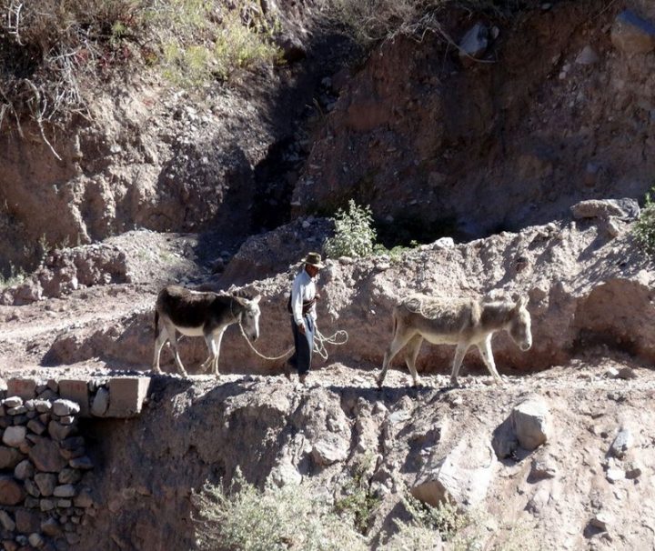 Cabanaconda Trek maatreizen Peru