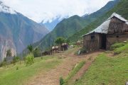 Hiking Choquequirao