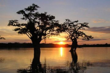 Jamu Amazon Lodge Ecuador reis