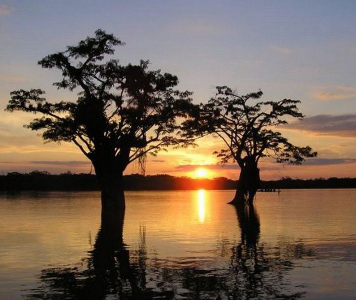 Jamu Amazon Lodge Ecuador reis