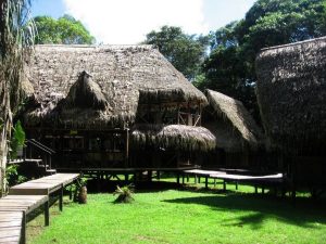 Jamu Lodge Amazone tours