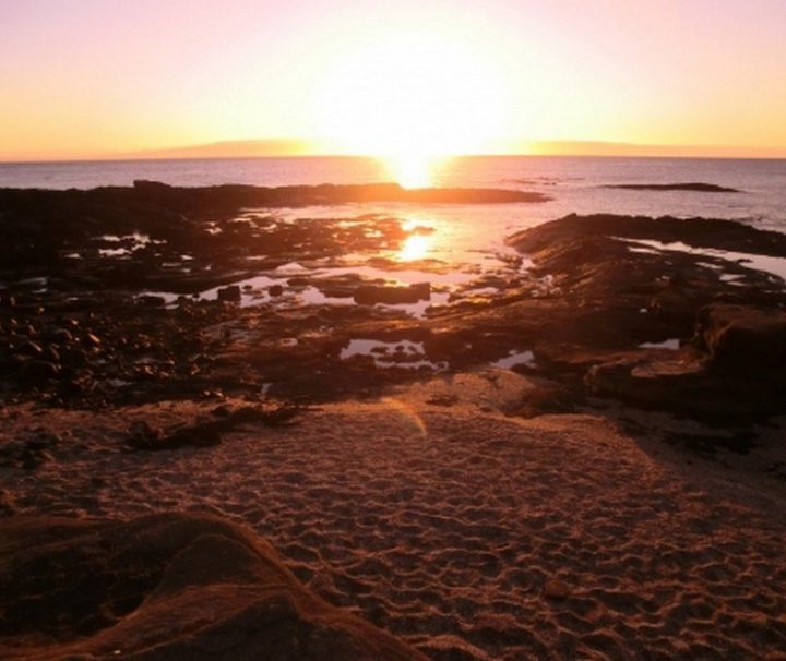 Eco Galapagos Ecuador reis