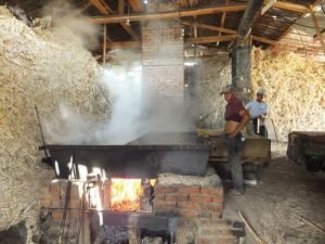 Cafe y Panela Tour Vilcabamba