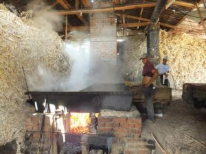 Cafe y Panela Tour Vilcabamba