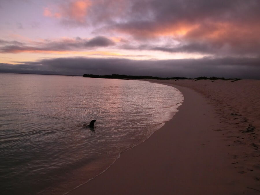 zonsondergang Galapagos Ecuador reizen