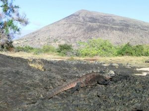 Galapagos volcano tour