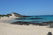 Galapagos Beach