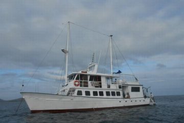 Golondrina Galapagos cruises Ecuador