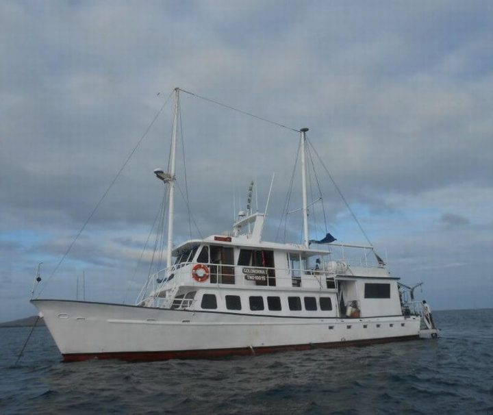 Golondrina Galapagos cruises