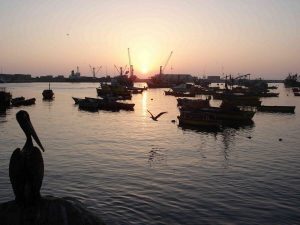 Harbor of Arica, Chile