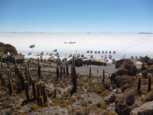 Inca Wasi Cacti Island Salar