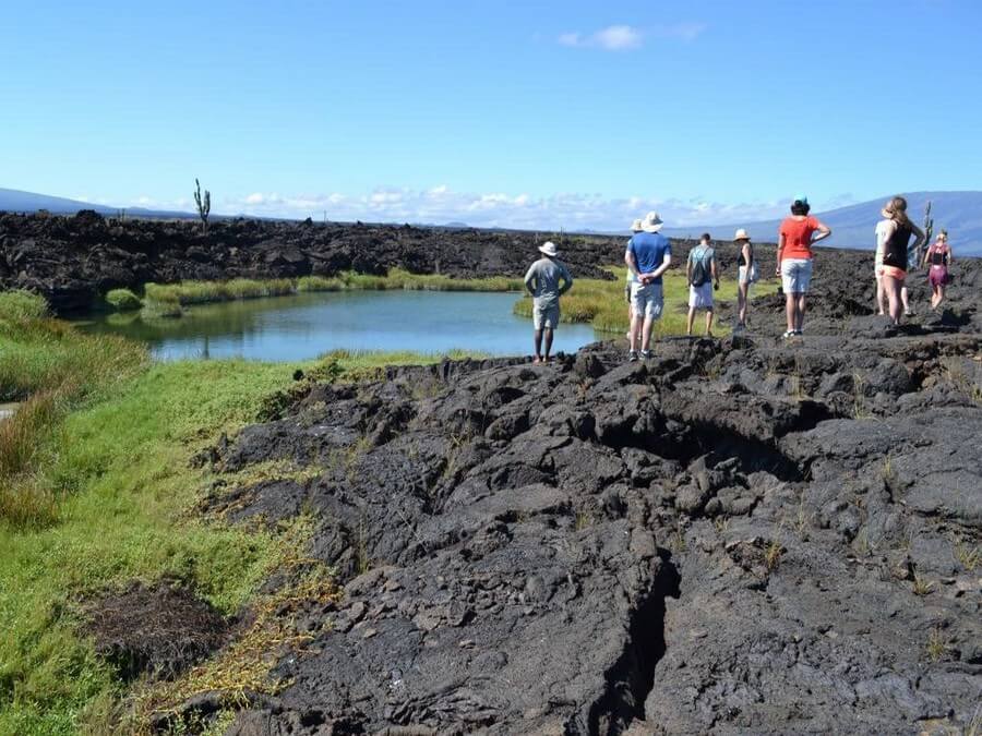 Vulkanische grond Galapagos eiland tour Ecuador