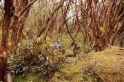 Hiking in Parque Cajas