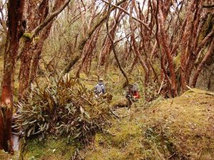 Hiking in Parque Cajas