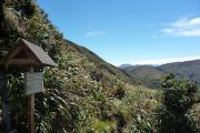 Hiking in Podocarpus National Park