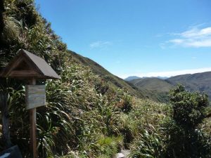 Podocarpus trek Ecuador