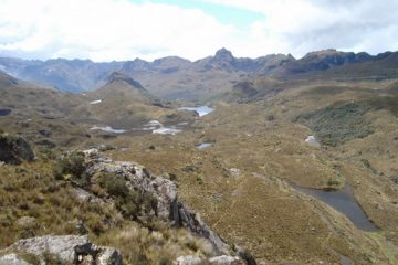 Cajas maatreizen Ecuador