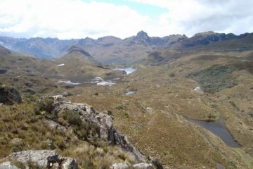 Park Cajas Ecuador tour