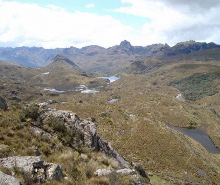 Park Cajas Ecuador tour