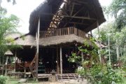 TRC Refugio in Tambopata Reserve