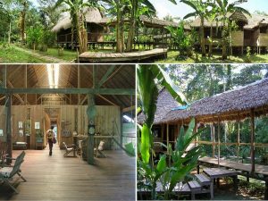 Inotawa Amazon Lodge tour
