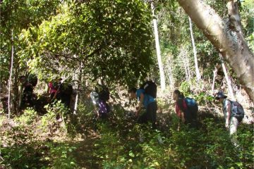 Inca Jungle Trail trektocht Peru