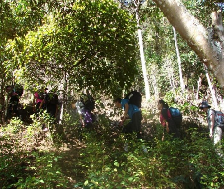 Inca Jungle Trail trektocht Peru