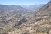 Travel to Peru and the terraces in the Colca Cañon