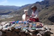 Girl with lama selling souvenirs