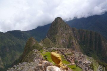 Lizard view of customized Peru Tour