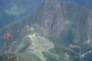 View from Machu Picchu Mountain