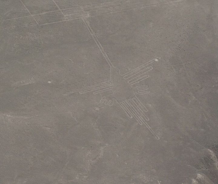 Nazca Lines, Humming Bird