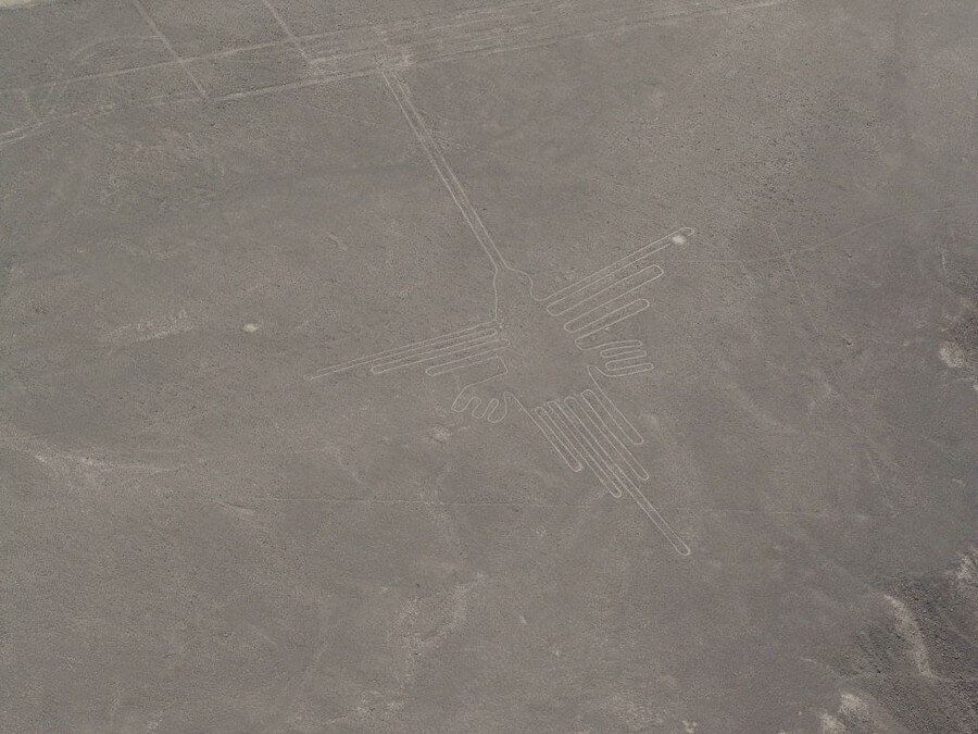 Nasca Lijnen, kolibrie, Peru reis