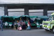 Selling Coca leaves