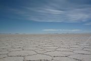 Hexagonal salt shapes in the Salar