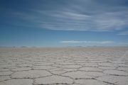 Hexagonal salt shapes in the Salar