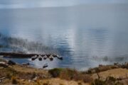 Vissersbootjes Isla del Sol Titikaka
