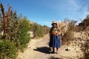 Old local farmer in Raqchi