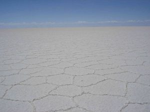 Hexagonal salt shapes on the Salar