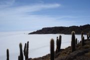 Cacti on Inca Wasi Island